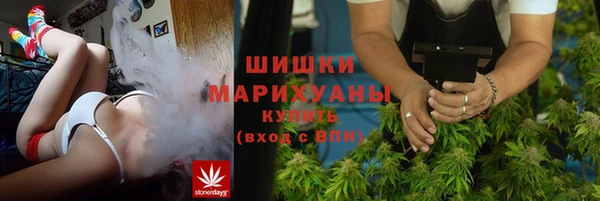 дживик Краснослободск