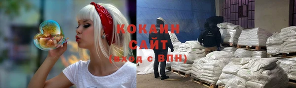 дживик Краснослободск