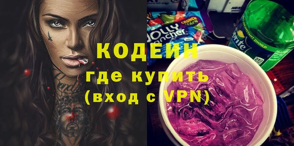 дживик Краснослободск