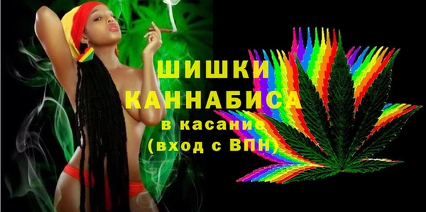 дживик Краснослободск