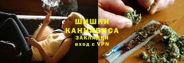дживик Краснослободск
