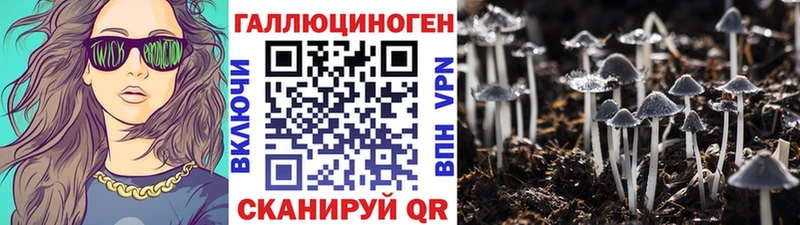 Купить закладки Горнозаводск Галлюциногенные грибы Magic Shrooms